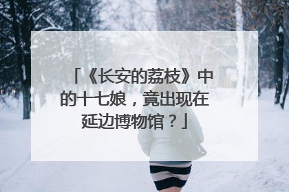 《长安的荔枝》中的十七娘，竟出现在延边博物馆？