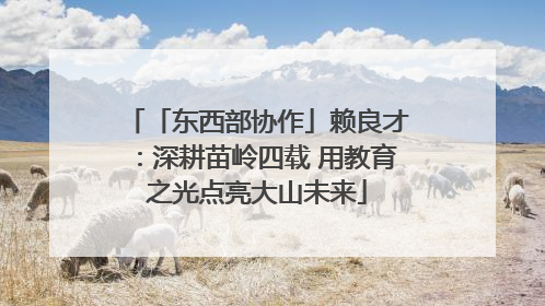 「东西部协作」赖良才：深耕苗岭四载 用教育之光点亮大山未来