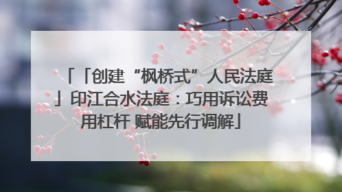 「创建“枫桥式”人民法庭」印江合水法庭：巧用诉讼费用杠杆 赋能先行调解
