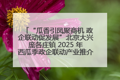 “瓜香引凤聚商机 政企联动促发展”北京大兴庞各庄镇 2025 年西瓜季政企联动产业推介活动圆满举行