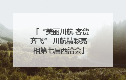 “美丽川航 客货齐飞” 川航精彩亮相第七届西洽会