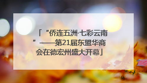 “侨连五洲·七彩云南”——第21届东盟华商会在德宏州盛大开幕