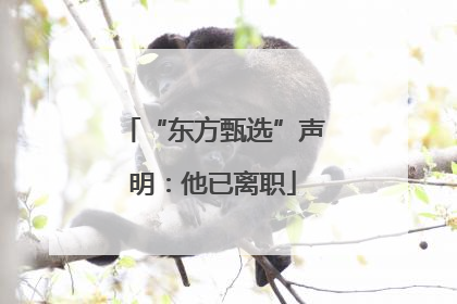 “东方甄选”声明：他已离职