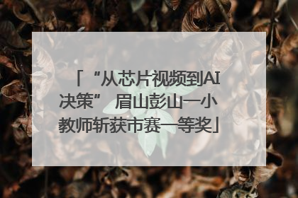 “从芯片视频到AI决策” 眉山彭山一小教师斩获市赛一等奖