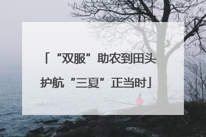 “双服”助农到田头 护航“三夏”正当时