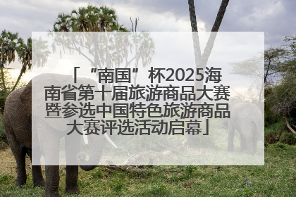 “南国”杯2025海南省第十届旅游商品大赛暨参选中国特色旅游商品大赛评选活动启幕