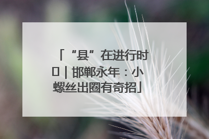 “县”在进行时⑬｜邯郸永年：小螺丝出圈有奇招