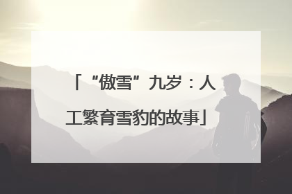 “傲雪”九岁：人工繁育雪豹的故事