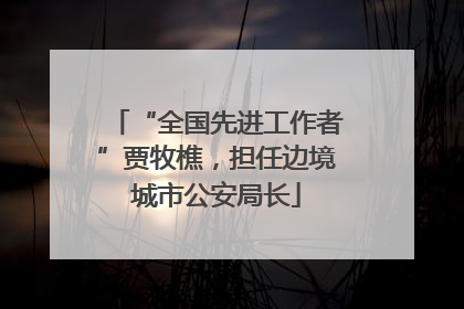 “全国先进工作者”贾牧樵，担任边境城市公安局长
