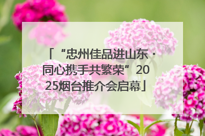 “忠州佳品进山东・同心携手共繁荣”2025烟台推介会启幕