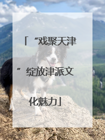 “戏聚天津”绽放津派文化魅力