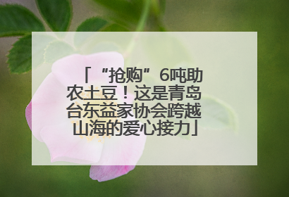“抢购”6吨助农土豆！这是青岛台东益家协会跨越山海的爱心接力