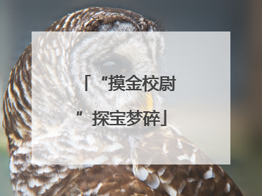 “摸金校尉”探宝梦碎