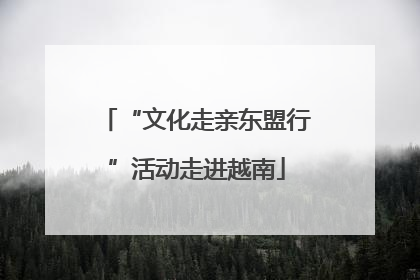 “文化走亲东盟行”活动走进越南