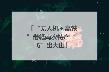 “无人机＋高铁”带赣南农特产“飞”出大山