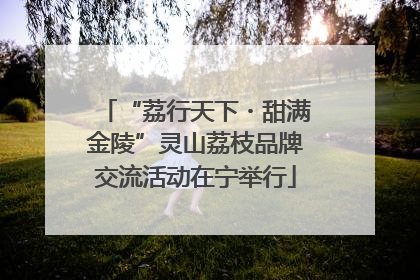 “荔行天下・甜满金陵”灵山荔枝品牌交流活动在宁举行