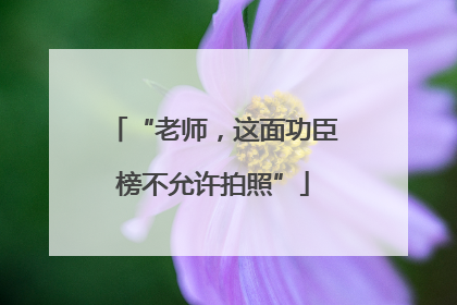 “老师，这面功臣榜不允许拍照”