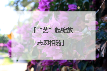 “艺”起绽放 志愿相随