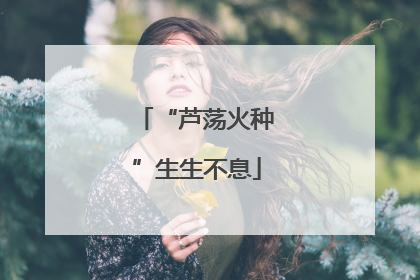 “芦荡火种”生生不息
