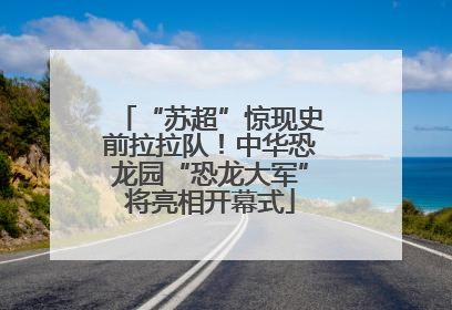 “苏超”惊现史前拉拉队！中华恐龙园“恐龙大军”将亮相开幕式