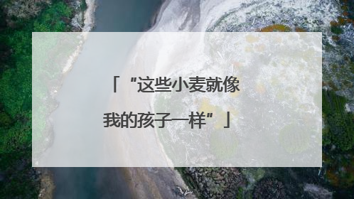 “这些小麦就像我的孩子一样”