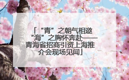 “青”之朝气相邀 “海”之胸怀奔赴——青海省招商引资上海推介会现场见闻