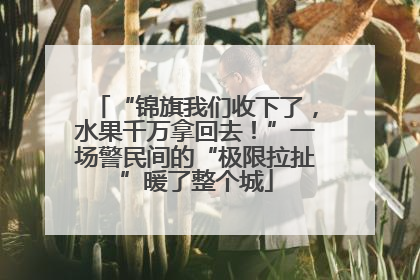 “锦旗我们收下了,水果千万拿回去!”一场警民间的“极限拉扯”暖了整个城