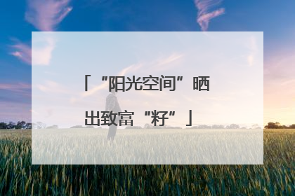 “阳光空间”晒出致富“籽”