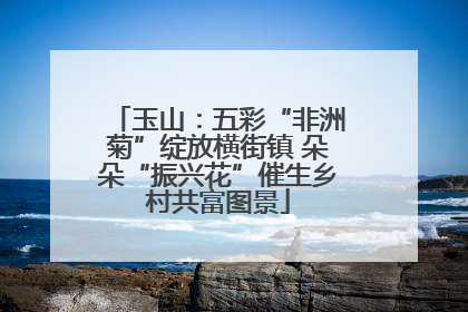 玉山：五彩“非洲菊”绽放横街镇 朵朵“振兴花”催生乡村共富图景