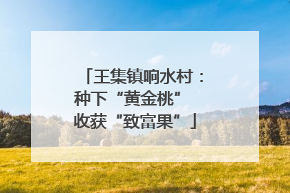 王集镇响水村：种下“黄金桃” 收获“致富果”