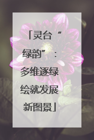灵台“绿韵”：多维逐绿绘就发展新图景