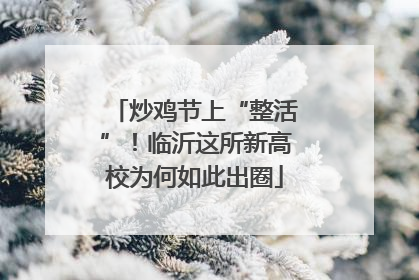 炒鸡节上“整活”！临沂这所新高校为何如此出圈