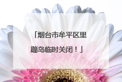 烟台市牟平区里蹦岛临时关闭！