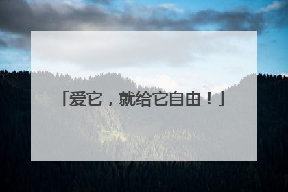爱它，就给它自由！