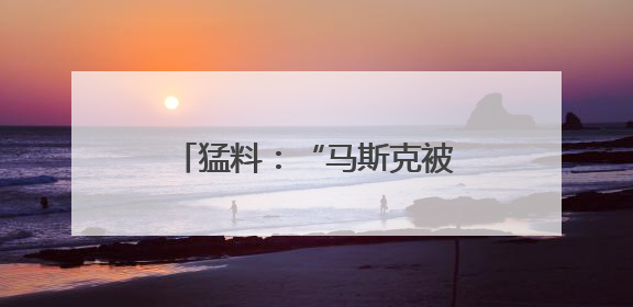 猛料：“马斯克被长期秘密监控！”