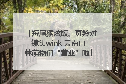短尾猴炫饭、斑羚对镜头wink 云南山林萌物们“营业”啦