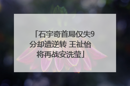 石宇奇首局仅失9分却遭逆转 王祉怡将再战安洗莹