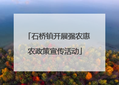 石桥镇开展强农惠农政策宣传活动