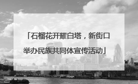 石榴花开耀白塔，新街口举办民族共同体宣传活动