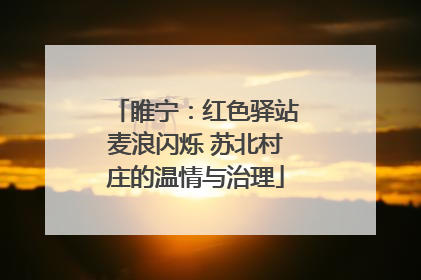 睢宁：红色驿站麦浪闪烁 苏北村庄的温情与治理