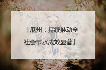 瓜州：持续推动全社会节水成效显著