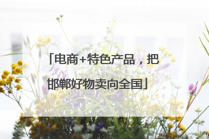 电商+特色产品，把邯郸好物卖向全国