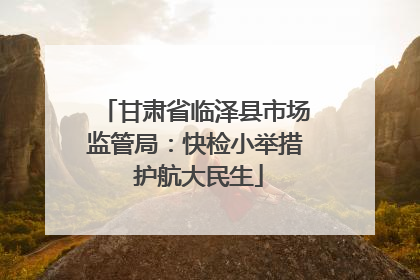 甘肃省临泽县市场监管局：快检小举措 护航大民生