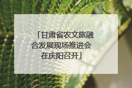 甘肃省农文旅融合发展现场推进会在庆阳召开