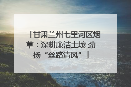 甘肃兰州七里河区烟草：深耕廉洁土壤 劲扬“丝路清风”