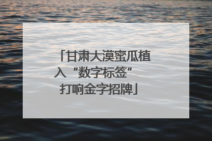 甘肃大漠蜜瓜植入“数字标签” 打响金字招牌