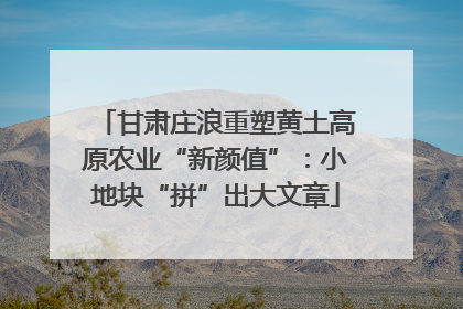 甘肃庄浪重塑黄土高原农业“新颜值”：小地块“拼”出大文章