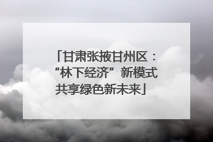 甘肃张掖甘州区：“林下经济”新模式 共享绿色新未来