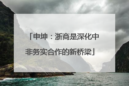 申坤：浙商是深化中非务实合作的新桥梁