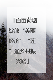 百亩荷塘绽放“美丽经济”“莲”通乡村振兴路